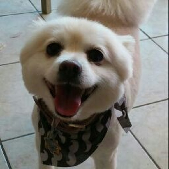 Meet your Posher, Juliana - Picture 1 of 1